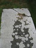 image of grave number 365778
